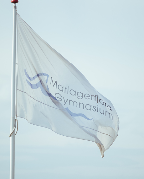 WEB Mariagerfjord Gymnasium 9765